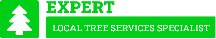 Cronulla Tree Services - Tree Removal Sydney